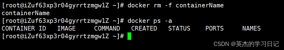 docker go项目部署 用docker部署项目_容器_19