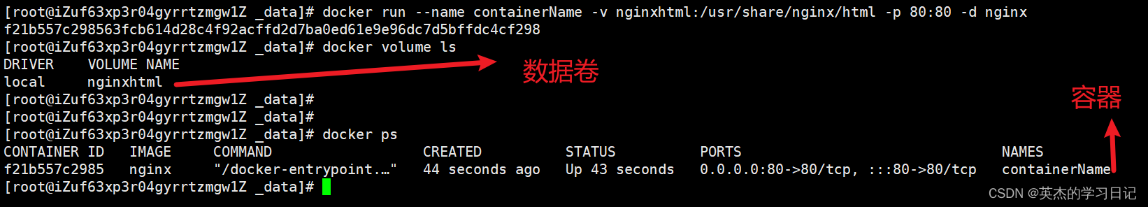 docker go项目部署 用docker部署项目_linux_24