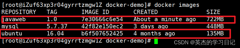 docker go项目部署 用docker部署项目_linux_38