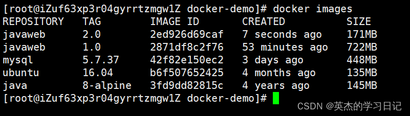 docker go项目部署 用docker部署项目_微服务_40