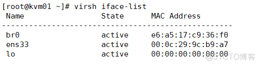 KVM 创建 桥接 mode 选择 NAT ROUTED OPEN kvm设置桥接_System_06