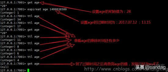 redis键过期怎么得到过期键的数据 java redis键过期策略_数据库