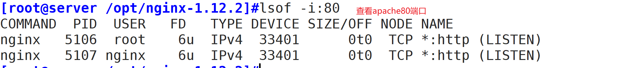 nginx 查看cpu 占用 查看nginx的状态_Nginx_05