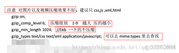 nginx容器的根路径 nginx根目录配置_nginx