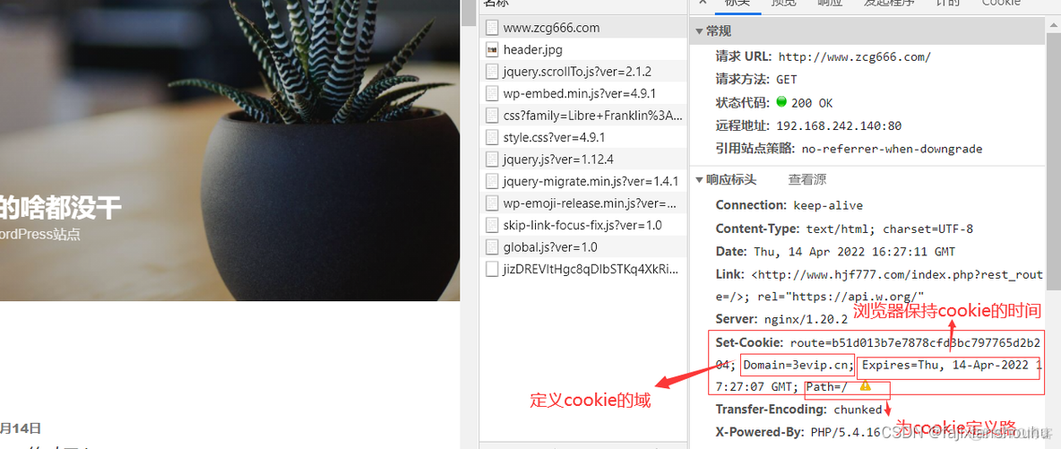 nginx SetCookie未配置Secure nginx配置cookie会话保持_php_06