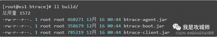 Java程序排查问题利器之Btrace_ASM_06