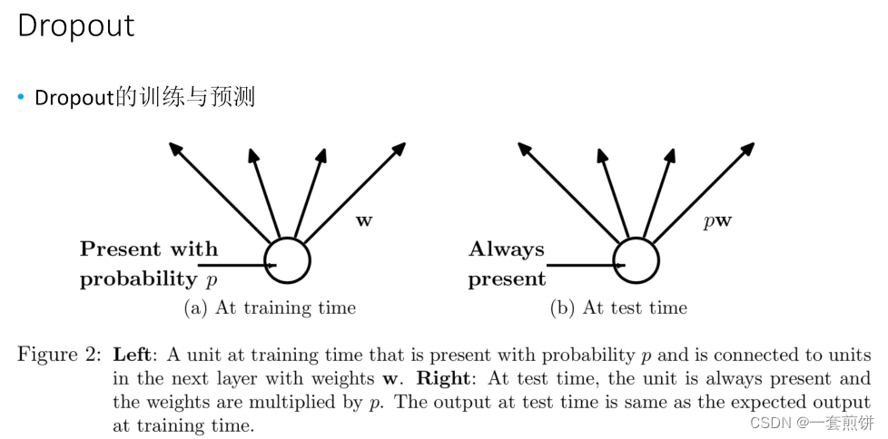cnn中dropout层详解 dropout层参数_权重_03