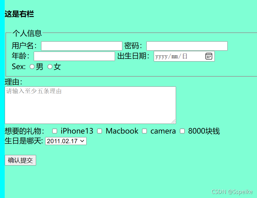 可以写在简历上的python项目 python web简历_javascript_03