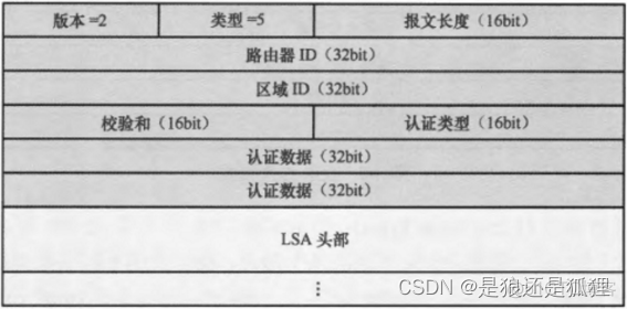 ospf 主从 ospf主从关系和drbdr_链路_06