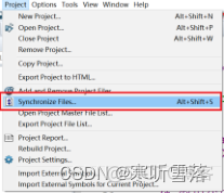 source insight 阅读go语言 source insight?_vscode_13