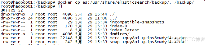 备份etcd镜像 esd镜像恢复_docker_12