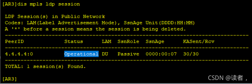 vxlan接入mpls mpls和vxlan_封装_41