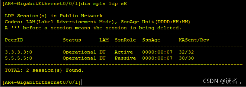 vxlan接入mpls mpls和vxlan_华为_42