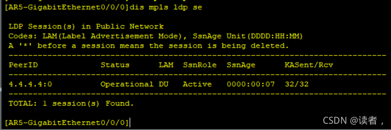 vxlan接入mpls mpls和vxlan_网络_43