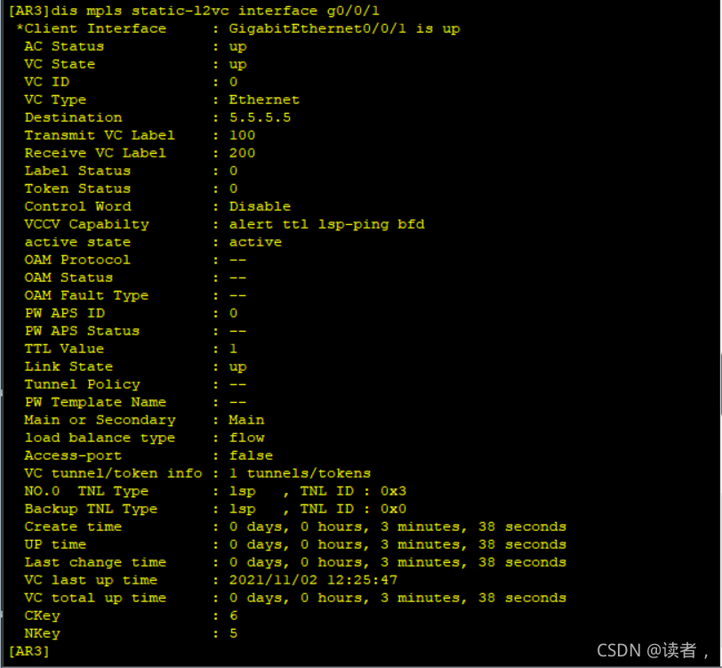 vxlan接入mpls mpls和vxlan_网络_49