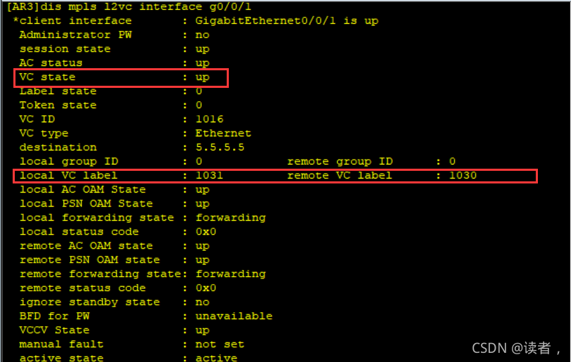 vxlan接入mpls mpls和vxlan_华为_79