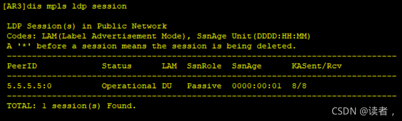 vxlan接入mpls mpls和vxlan_封装_91