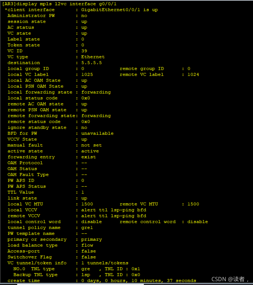 vxlan接入mpls mpls和vxlan_封装_99