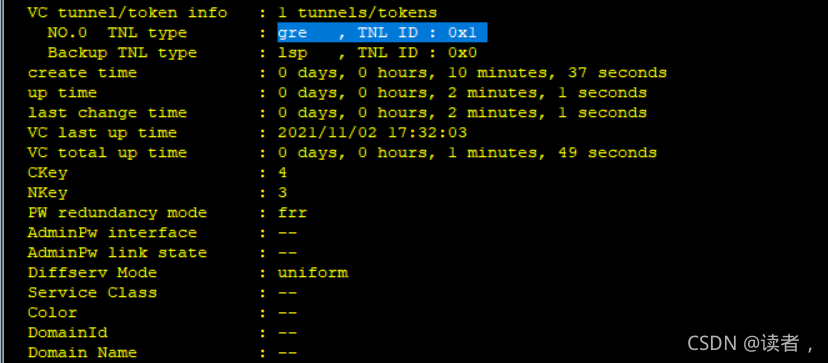 vxlan接入mpls mpls和vxlan_封装_100