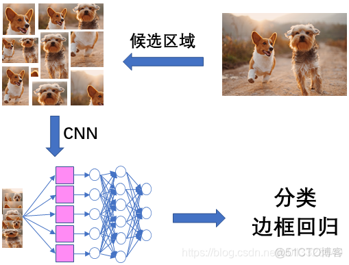 目标检测常用的数据处理增强手段 目标检测的应用_tensorflow