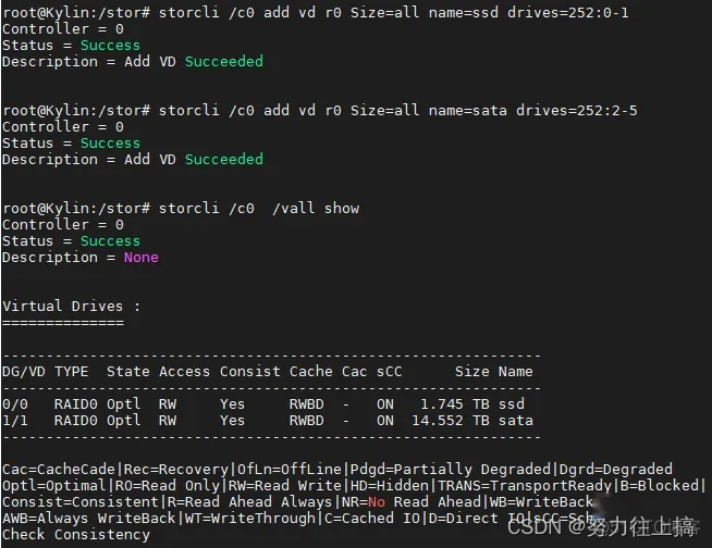 lsi raid卡在BIOS下做raid lsi raid卡配置_缓存_11