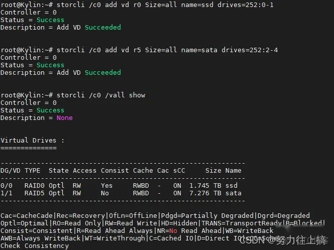 lsi raid卡在BIOS下做raid lsi raid卡配置_运维_12