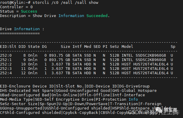 lsi raid卡在BIOS下做raid lsi raid卡配置_运维_13