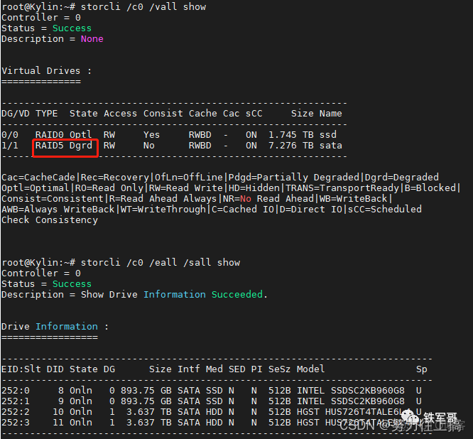 lsi raid卡在BIOS下做raid lsi raid卡配置_初始化_14