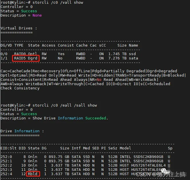 lsi raid卡在BIOS下做raid lsi raid卡配置_linux_15