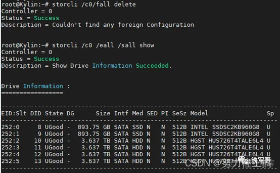 lsi raid卡在BIOS下做raid lsi raid卡配置_缓存_18