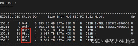 lsi raid卡在BIOS下做raid lsi raid卡配置_服务器_20