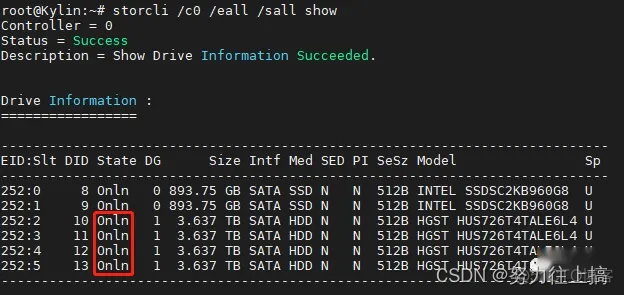 lsi raid卡在BIOS下做raid lsi raid卡配置_linux_24