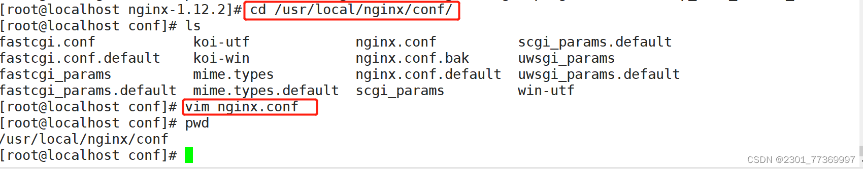 linux中nginx怎么检查Fastjson版本 linux查看nginx_运维_11