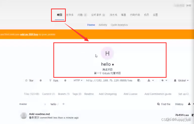 gitlab4j创建多个分支 gitlab创建group_gitlab_10