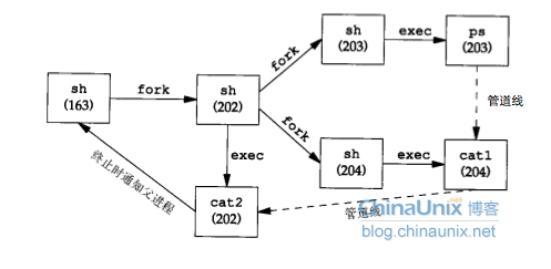 Echo和管道符组合使用 shell中管道符_pipe