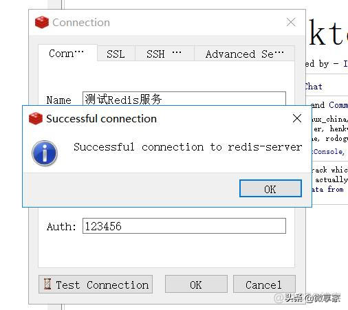 redis 配置外部可以连接 redismanager连接redis_redis使用_13