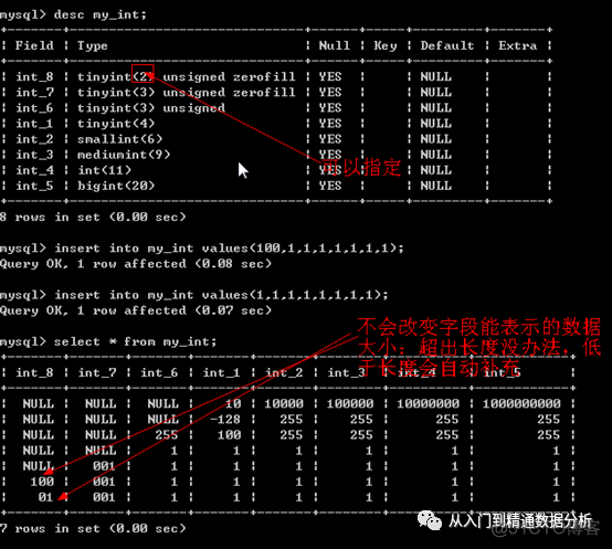 mysql 取负数的正整数 mysql存负数_数据_08