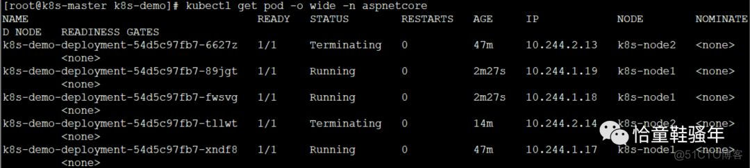 k8s 删除ns中的 roles k8s删除deployment_Pod_11