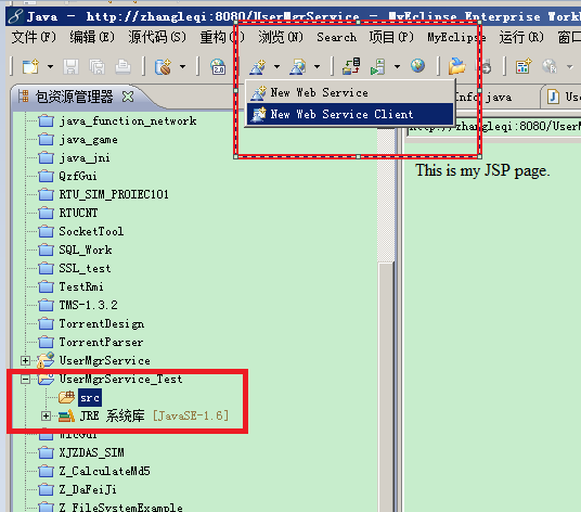 java service层方法让main方法调 javaweb service层_Web_22