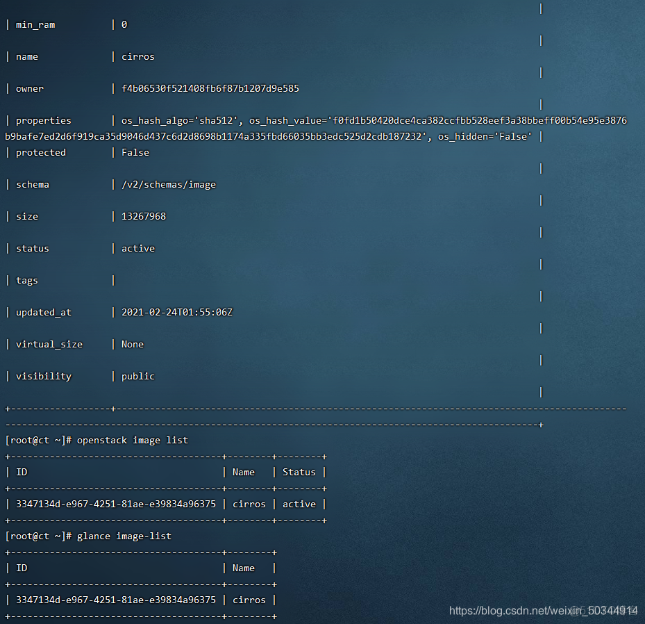 openstack镜像图形化创建实例 openstack提供镜像服务_openstack镜像图形化创建实例_07