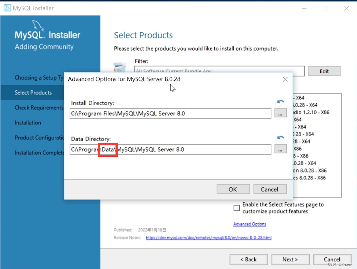 mysql下载到了c盘 mysql安装到c盘_MySQL_17