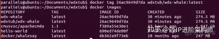 docker push选择仓库 docker push 500_docker_15