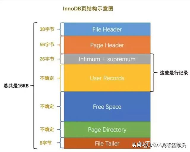 小于等于索引失效 单元格索引大于_MySQL_05