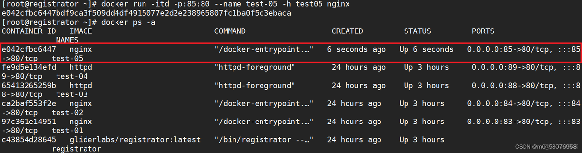 启动docker对cpu资源限制 docker启动consul_nginx_23