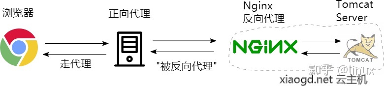 如何查看经过nginx转发之后的路径 怎么查看nginx,如何查看经过nginx转发之后的路径 怎么查看nginx_nginx_14,第14张