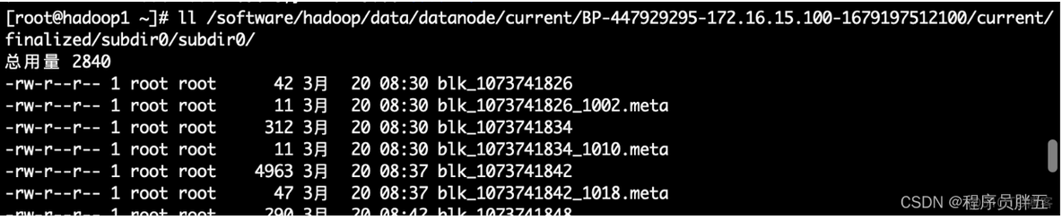 基于Hadoop的视频转码技术代码 hdfs 视频文件_基于Hadoop的视频转码技术代码_11