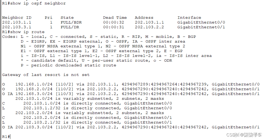 ospf引入静态路由后如何查看 ospf路由引入静态路由_1024程序员节_60