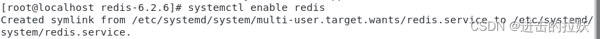 redis cli启动无反应 启动redis失败_数据库_04