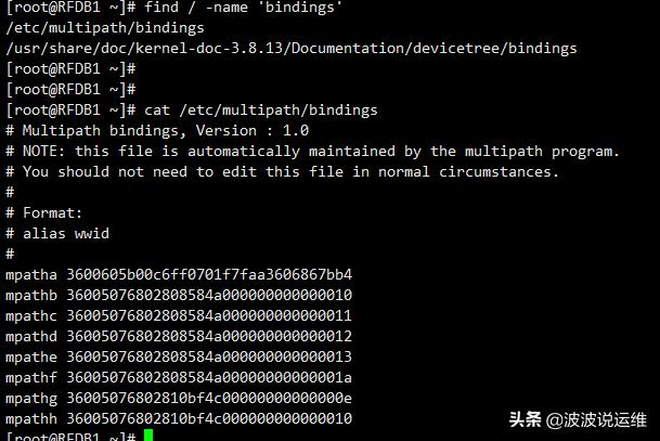 msa2060esxi多路径 多路径命令_msa2060esxi多路径_04