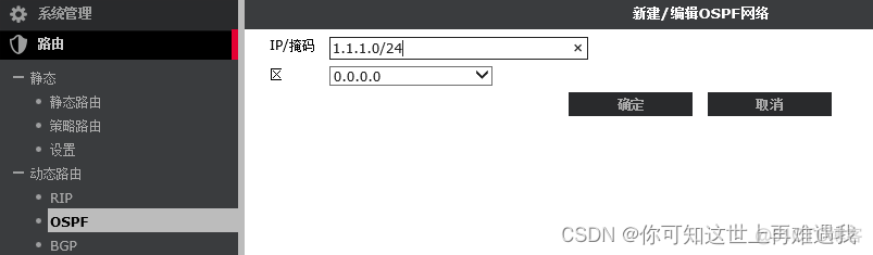 ebgp 路由 ibgp bgp路由配置实例_运维_09